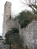 Donjon de Ternand.