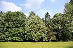 Le parc.