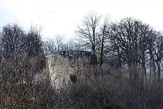 Image illustrative de l’article Château de Vignory