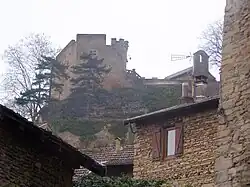 Château delphinal.