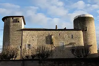 Image illustrative de l’article Château des Tours (Anse)