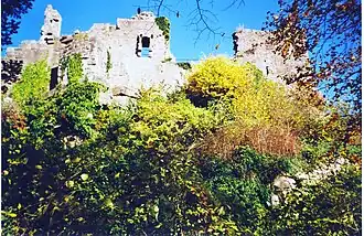 Image illustrative de l’article Château du Frankenbourg