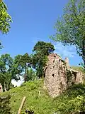 Château et ses alentours en ruines.