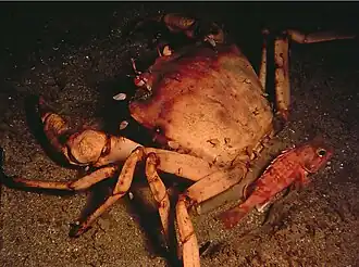 Description de cette image, également commentée ci-après