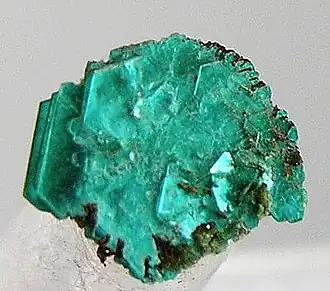 Image illustrative de l’article Chalcophyllite