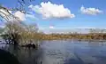La Loire à Chambilly, après quelques jours de pluie.