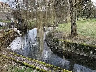 L'Aujon à Chameroy