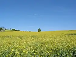 Pré à Amance