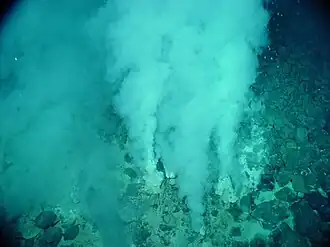 Sources hydrothermales : c'est à proximité de ces "fumeurs blancs" que se seraient développés les premiers microorganismes unicellulaires,