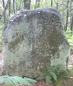 Image illustrative de l’article Menhir des Buttes Noires
