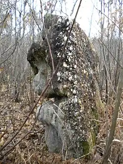 Menhir près de Champredon.