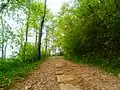 Chemin vers la chapelle.