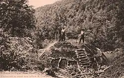 Charbonniers dans la montagne de Lure au début du XXe&nbsp;siècle