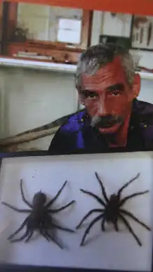 Description de l'image Charles J. Seiderman-discoveror.Theraphosa Apophysis-1990-Puerto Ayacucho,Venezuela.jpg.