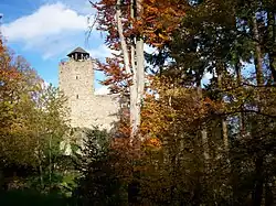 Donjon pentagonal.