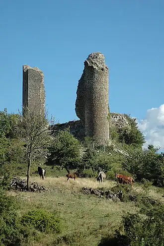 Image illustrative de l’article Château des comtes de Poitiers