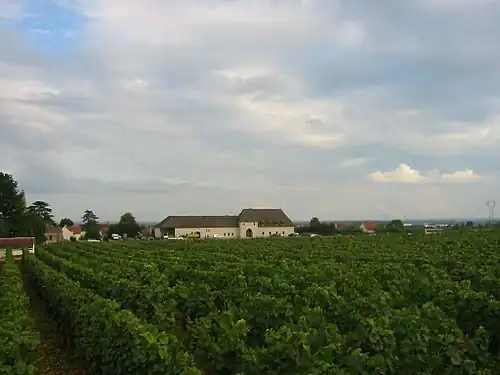Le château de Marsannay entouré de vignes.