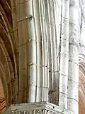 Profil des grandes arcades.