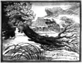 Illustration du XVIIe siècle représentant le chêne déraciné par le vent contrairement au roseau qui « plie et ne rompt pas ».