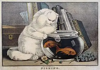 Chat