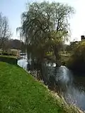 La Chelmer à Little Waltham.