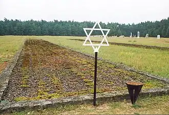 Chelmno-fosse-commune.jpg