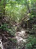 Chemin d'accès à l'anse Castalia.
