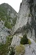 Chemin de la Mâture