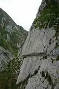 Chemin de la Mâture