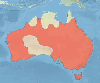 Description de l'image Chenonetta jubata distribution map.png.