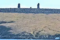 Île Tchemyrekhstolbovoï (des Kigilyakhs)