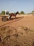 Cheval.