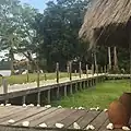 Chevaux en Forêt