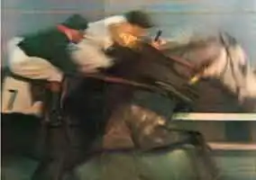 Chevaux de course pour Réalités, 1959 et MEP, 2008. Photographie faites avec un Telyt de 400&nbsp;mm monté sur une poignée crosse Kilfitt. Le photographe accompagne les chevaux en faisant bloc avec le téléobjectif (3&nbsp;kg) en pivotant sur lui-même sur un pied.