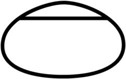 Logo.