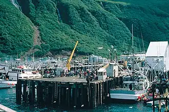 Chignik (Alaska)