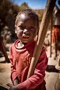 À Madagascar, 2016