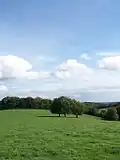 Vue des Chilterns près de Nettlebed.