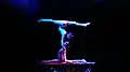 Numéro de gymnastique