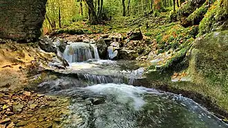 Cascadelles sur le ruisseau des Champs du Poix à Chiprey.