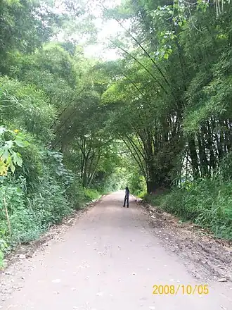 Chirgua