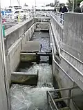 L'échelle à poissons.