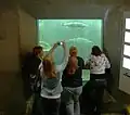 Une vue sur les poissons passant l'échelle.