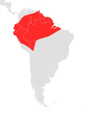 Description de l'image Choeroniscus minor map.png.