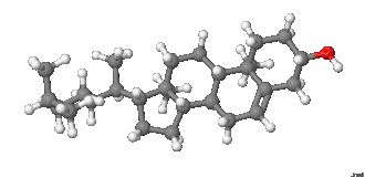 Image illustrative de l’article Cholestérol