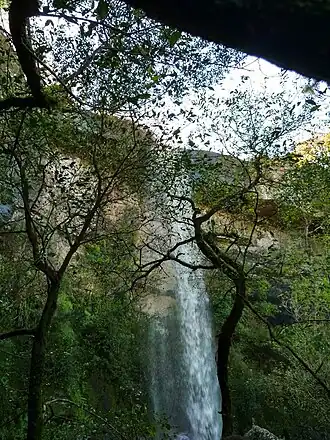 Curtina