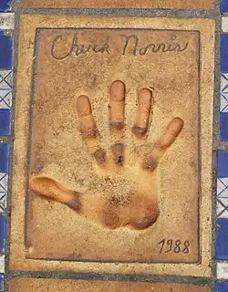 Chuck Norris