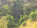 Chute