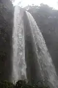 Chute mami wata.