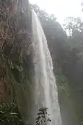 Chute mami wata.